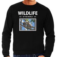 Koala foto sweater zwart voor heren - wildlife of the world cadeau trui Koala's liefhebber 2XL  -