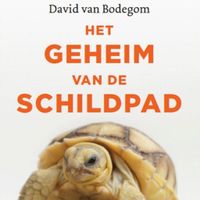 Het geheim van de schildpad - thumbnail