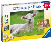 Ravensburger puzzel 2 x 12 stukjes boederijdieren