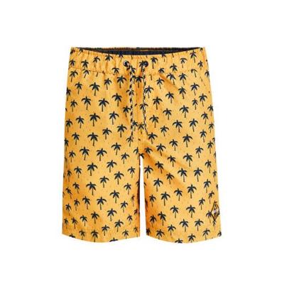 WE Fashion zwemshort met palmbomenprint geel/zwart WE Fashion zwemshort met palmbomenprint geel/zwart