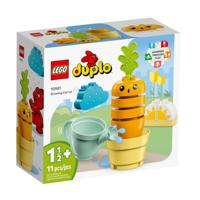 Lego Duplo 10981 Groeiende Wortel - thumbnail