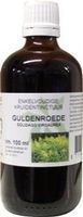 Natura Sanat Solidago virg herb / guldenroede tinctuur (100 ml)