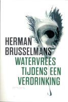 Watervrees tijdens een verdrinking - Herman Brusselmans - ebook - thumbnail