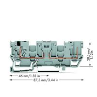 WAGO 769-181 Basisklem 5 mm Spanveer Toewijzing: L Grijs 50 stuk(s)