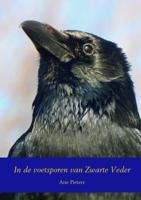 In de voetsporen van Zwarte Veder - Arie Pieters - Paperback (9789463860673)