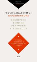 Psychoanalytisch woordenboek (Paperback) - thumbnail