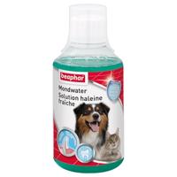 Beaphar 16008 Mondwater hond/kat 250ml - voor een frisse adem - met enzymen tegen tandplak - gebitsverzorging voor honden en katten - door het drinkwater