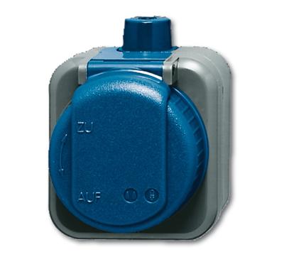 Busch-Jaeger Busch-duro WDI wandcontactdoos 2-polig met klapdeksel randaarde, blauw Busch-Jaeger Busch-duro WDI wandcontactdoos 2-polig met klapdeksel randaarde, blauw