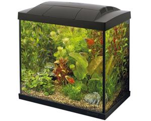 Superfish Start 30 Tropical Kit Zwart - Compact 30L Aquarium Set met LED en Filter