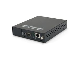 LevelOne FVM-1000 netwerk media converter 100 Mbit/s Zwart