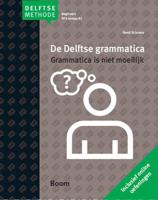 De Delftse grammatica - B. Sciarone - Paperback (9789085066088)