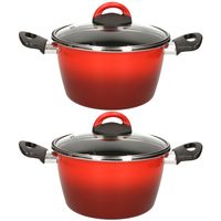 Set van 2x stuks rvs rode kookpan/pan met glazen deksel 20 cm 6 liter