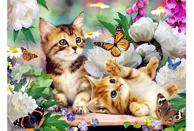 Diamond painting set in de aanbieding Diamond painting set in de aanbieding