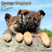 German Shepherd Puppies Calendar 2026 Square Dog Puppy Breed Wall Calendar - 16 Month