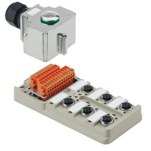 Weidmüller SAI-6-MH-5P M12 1701242000 Passieve sensor/actorbox M12-verdeler met metalen schroefdraad 1 stuk(s)