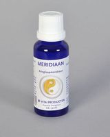 Meridiaan kringloopmeridiaan - thumbnail