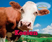 Koeien - Sheri Doyle - Hardcover (9789461755933)