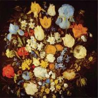 Navigated Like The Swans - LP (0656605463216)