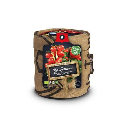 Baza keukentuintje bio tomato cerise