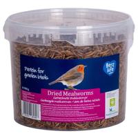 Wildbird Meelwormen in emmer 5L