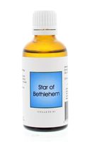 Alive BA29 Star of Bethlehem (50 ml) - thumbnail