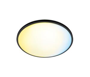 Plafondlamp Philips Wiz 16 W 29,2 x 2,3 cm Zwart Multicolour Aluminium (2700 K) (6500 K) 16 W