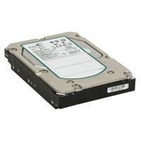 Seagate ST3300657SS interne harde schijf, 300 GB, 15000 rpm, 8,9 cm (3,5 inch), SAS