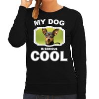 Dwergpinscher honden sweater / trui my dog is serious cool zwart voor dames