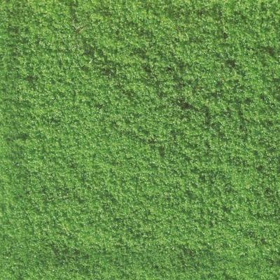 Noch 07241 Flockage lichtgroen, 30 gram