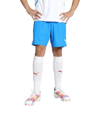 PUMA teamGOAL Korte broek