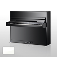 Wilhelm Schimmel W 114M WP chroom piano