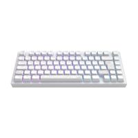 Dark Project ALU81A Terra Nostra Mechanisch gaming-toetsenbord, ISO Multi | Hot-Swap | G3MS Moonstone Gevette Schakelaar | Ingevette stabilisatoren | Flex Gasket Mount | Aluminium | 75% | RGB