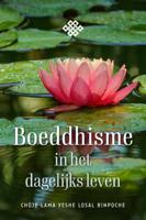 Boeddhisme in het dagelijks leven (Paperback)