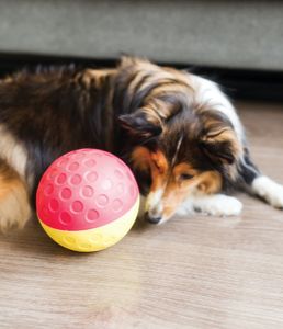 Snackbal Treat Tumble, rood-geel