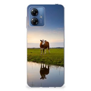 Motorola Moto G14 TPU Hoesje Koe