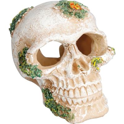 Aquarium decoratie Skull - 6.5 x 8 x 6.5 cm 6.5 x 8 x 6.5 cm Flamingo Beige Aquarium decoratie Skull - 6.5 x 8 x 6.5 cm 6.5 x 8 x 6.5 cm Flamingo Beige