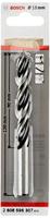 Bosch Professional houtspiraalboor (voor hout, Ø 10 mm, accessoires boormachines)