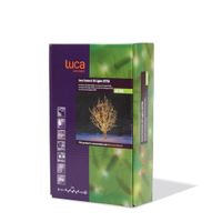 Luca Connect XP clear 50 lampjes 5m extra - thumbnail