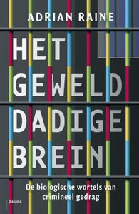 Het gewelddadige brein - Adrian Raine - ebook