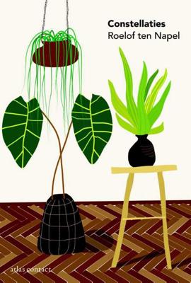 Constellaties - Roelof ten Napel - Paperback (9789025443993)
