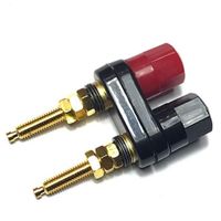 Dual Binding Post Terminal - Speaker / Test Leads Connector - Banana Socket - thumbnail