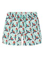 Name It Name It Jongens Zwemshort Kinderen NKMZADDI Papegaai Print Wit