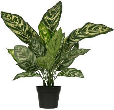 Woood Aglaonema kunstplant groen 50 cm Woood Aglaonema kunstplant groen 50 cm