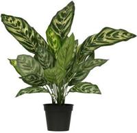 Woood Aglaonema kunstplant groen 50 cm