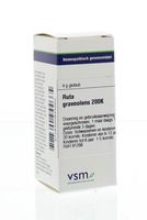 VSM Ruta graveolens 200K (4 gr)