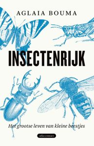 Insectenrijk - Aglaia Bouma - ebook