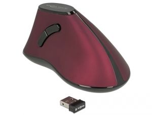 Delock 12528 Ergonomische verticale optische muis met 5 knoppen, 2,4 GHz draadloos