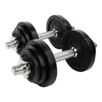 RS Sports Dumbellset l Halterset met gewichten l Totaal 20 kg l 2 stangen