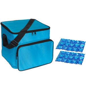 Grote koeltas licht blauw met 2 stuks flexibele koelelementen 21 liter