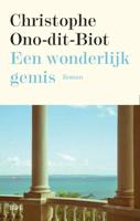 Een wonderlijk gemis - Christophe Ono-Dit-Biot - Paperback (9789463930161)